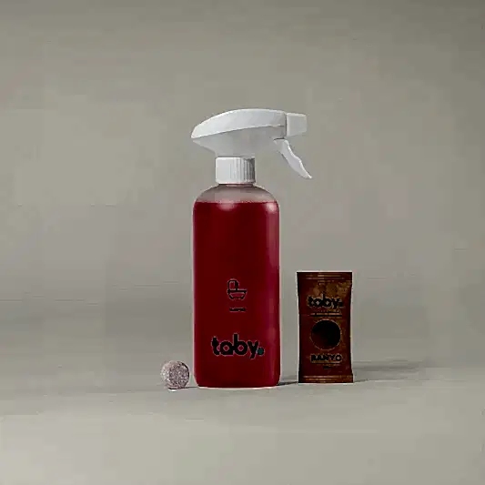Banyo Temizleyici Başlangıç Seti
