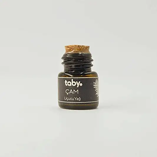 Koku – Çam