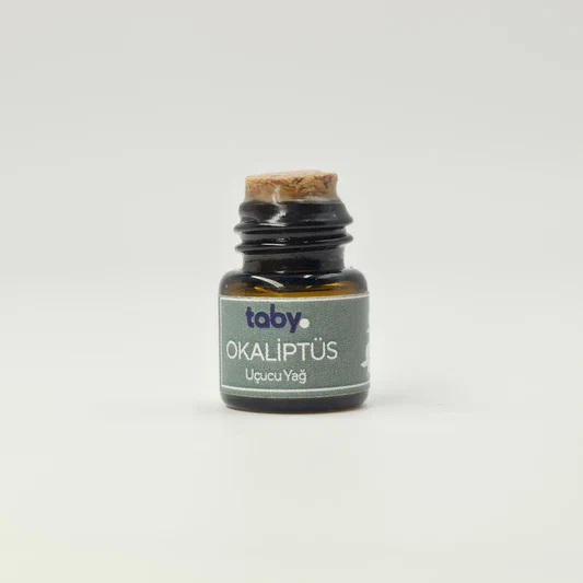 Koku – Okaliptüs